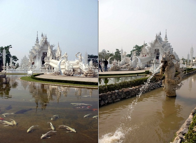 16 Koi-in-pond-Wat-Rong-Khun-White-Temple-Chiang-Rai-Thailand