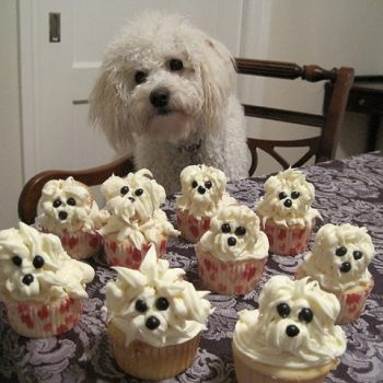 Dog Puppy Cupcakes Recipe