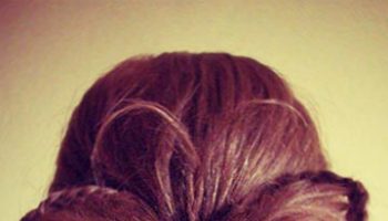 butterfly hairstyle 1