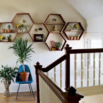 Honeycomb-Shelves