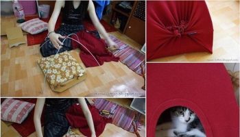 Reuse Old T-shirts to Make Cat Tents – DIY