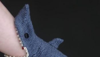 shark-socks-1