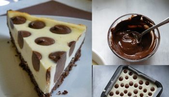 Polka Dot Cheesecake Recipe