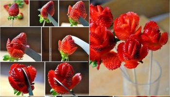 Strawberry Roses Dessert (2)