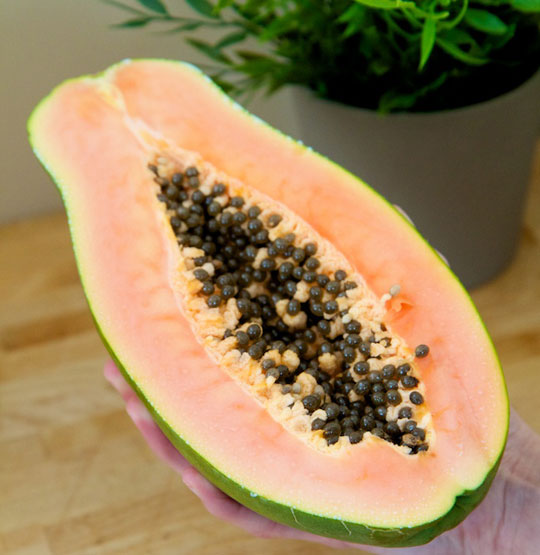 papaya