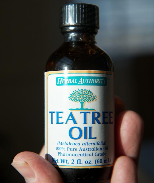 teatreeoil