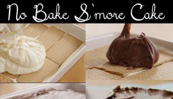 Delicious No Bake S’more Cake