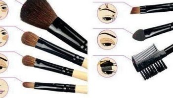 Makeu-brush-guide1