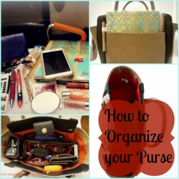 Purse Organization
