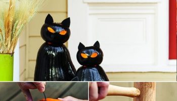 Cat O’Lanterns for Halloween in 6 Easy Steps