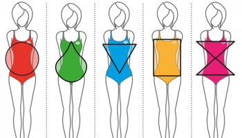 Body-Shapes