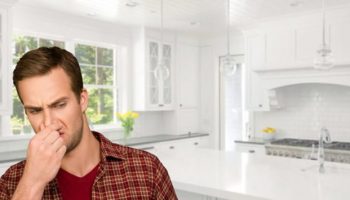 The Best-Kept Secrets of Fresh Smelling Homes (2)