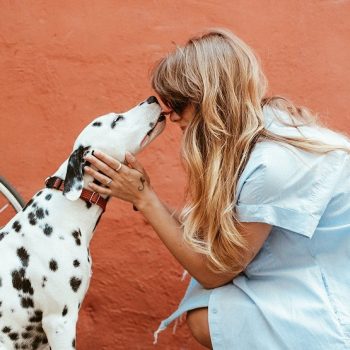 Pet-Friendly Home 1