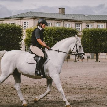 The-Ultimate-Equipment-Guide-To-Horse-Riding