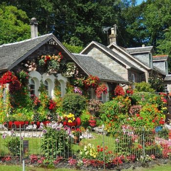 garden