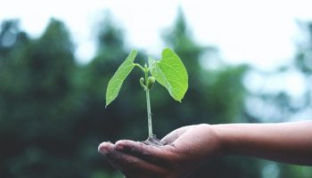 save-nature