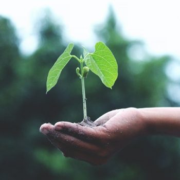 save-nature