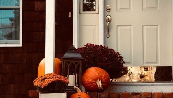 fall at home (3)