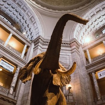 National-Museum-of-Natural-History-Washington