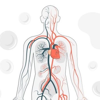 healthy veins