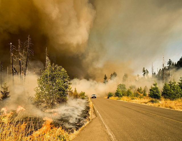 The Role of Firefighters in Battling Wildfires